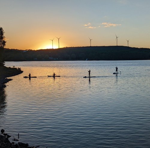 Rudern, Kanu oder Tretboot: Diesen Wassersport kannst du in der Region Trier betreiben
