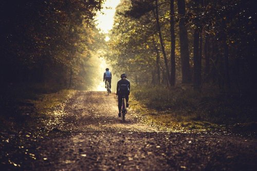 Trails im Pfälzerwald: Diese Mountainbike-Touren versprechen Action