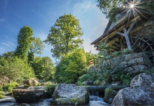 Mühlenzauber: 5 traumhafte Wanderungen in Baden-Württemberg zum Mühlentag
