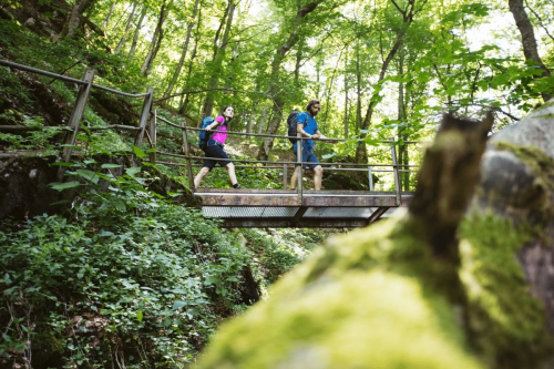Deutschlands schönster Wanderweg 2025: Baden-Württemberg dominiert – 8 Routen im Rennen!