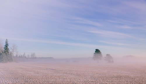 Von Frost bis 23 Grad: So wechselhaft wird das Osterwetter in Baden-Württemberg