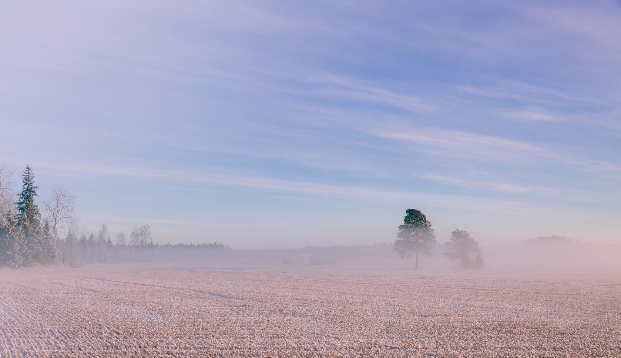 Von Frost bis 23 Grad: So wechselhaft wird das Osterwetter in Baden-Württemberg
