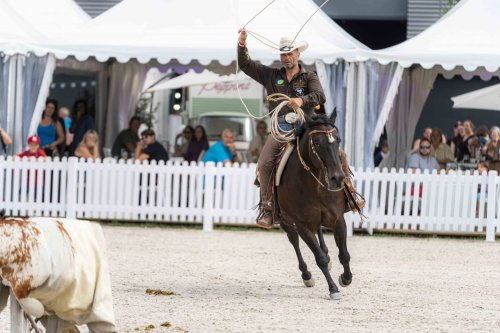 eurocheval 2025 in Offenburg: Pferdespektakel mit Gala-Shows, Stars und Frühbucher-Vorteil