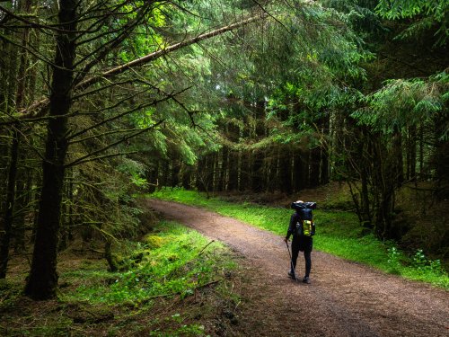 How Nature Can Alleviate Pain—and Why Climate Change Could Get in the Way