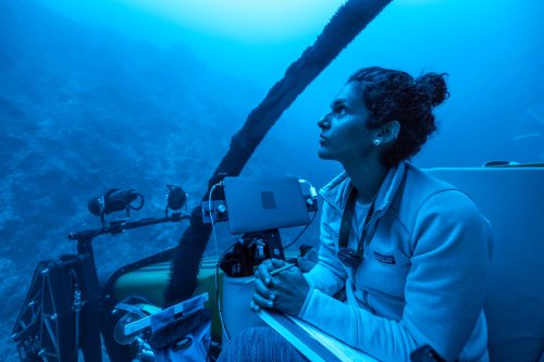 Trump’s New Executive Order Promotes Deep Sea Mining in US and International Waters While Bypassing International Law