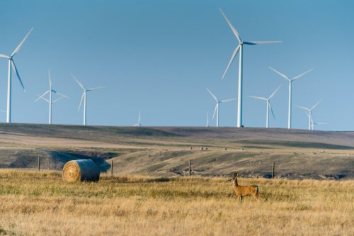 Property Rights Take Center Stage as Montana Grapples With Wind Development