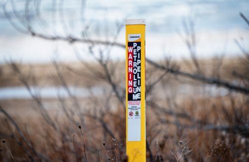 Citing Trump Emergency Order, Army Corps Expedites Review for Line 5 Oil Pipeline in Great Lakes’ Wetlands