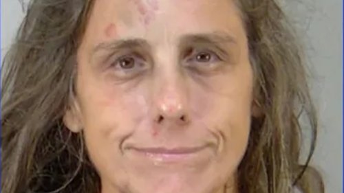 Whip-Wielding Florida Woman Arrested For Stabbing Vehicle In Publix ...