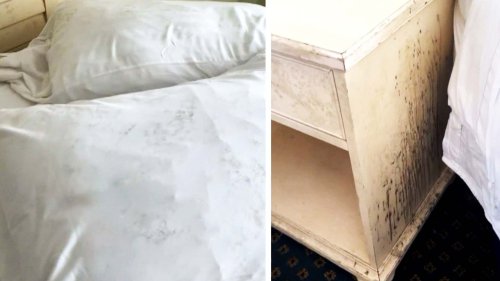 Guests Shocked to Find $350 Per Night Hotel Room Completely Covered in Mold