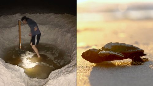 New TikTok Trend of Digging Massive Holes on Beaches Is Dangerous: Police