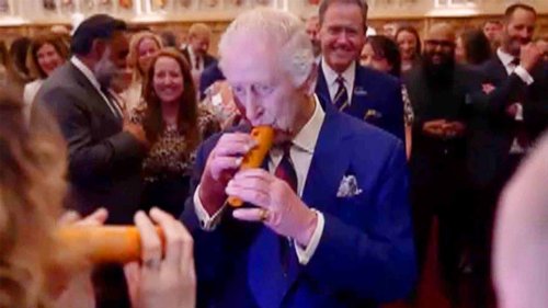 King Charles Plays Carrot