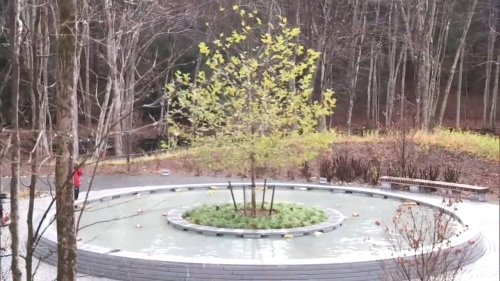 Remembering the Sandy Hook School Shooting Tragedy 10 Years Later