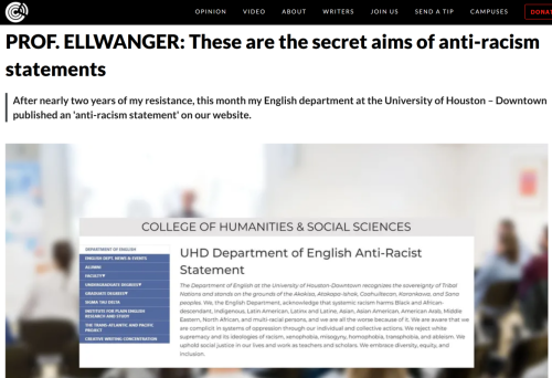 DEI statement nixed after professor complains, links to racist article