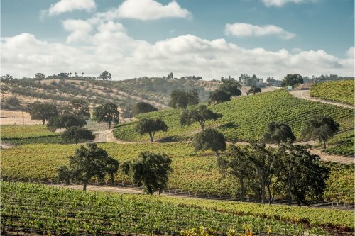 Go to Paso Robles for the Wine, But Don't Miss Its Other Charms