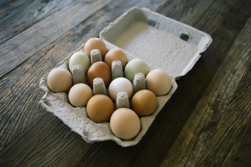 Having Issues With Eggshells? You're Not Alone.