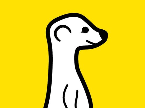 Meerkat, the live-streaming app that has Twitter going crazy, just raised $12 million