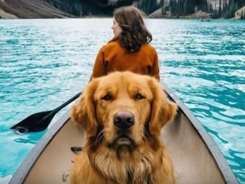 This travel photographer takes his dog around the world with him