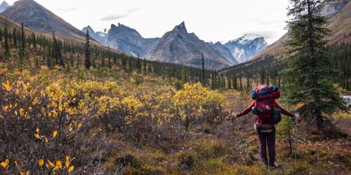 I've been to all 63 national parks. These 4 are my favorites — but these 3 didn't impress me much.