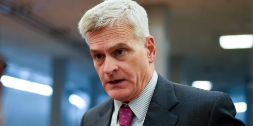 Sen. Bill Cassidy claims people need AR-15s to defend themselves from 'feral pigs,' inadvertently echoing an old meme about 'feral hogs'