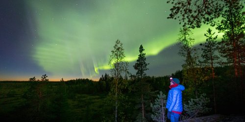 New types of polar lights are upending what we know about the aurora. Amateur scientists and interns made the latest discoveries.