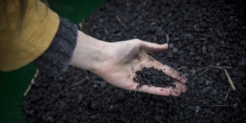 How a soil additive called biochar can help fight the climate crisis by locking away carbon for centuries