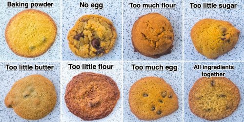 This graphic showing how cookies can go wrong is proof you need to be precise when baking