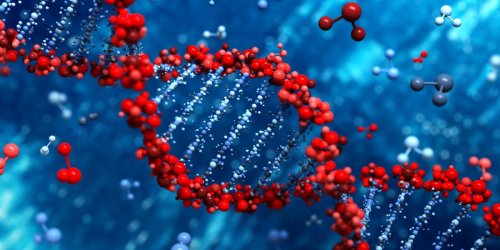 Scientists just confirmed there's a second layer of information hidden in our DNA
