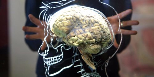 New research on the biology behind over-thinking shows how it makes us less creative