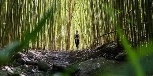20 off-the-beaten-path places on Maui that every local loves, from secret beaches to under-the-radar hikes
