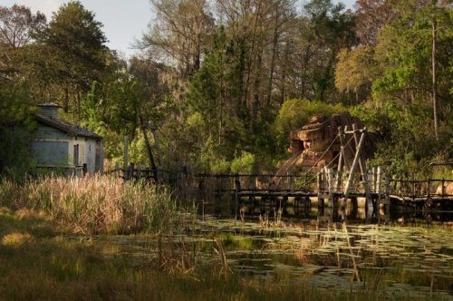 This abandoned Disney water park has been rotting for more than a decade