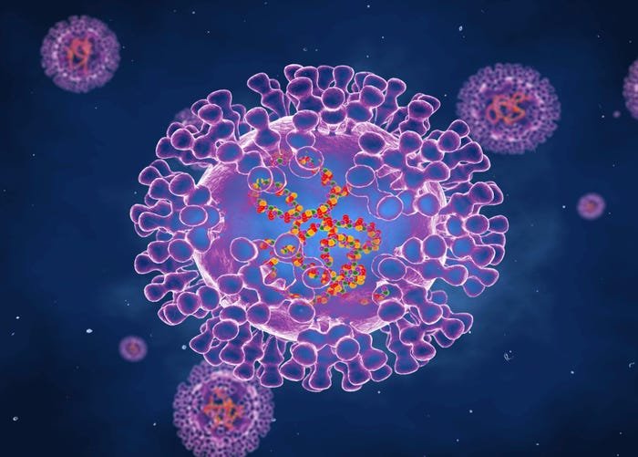 A second American has come down with monkeypox, a rare virus that causes pus-filled boils