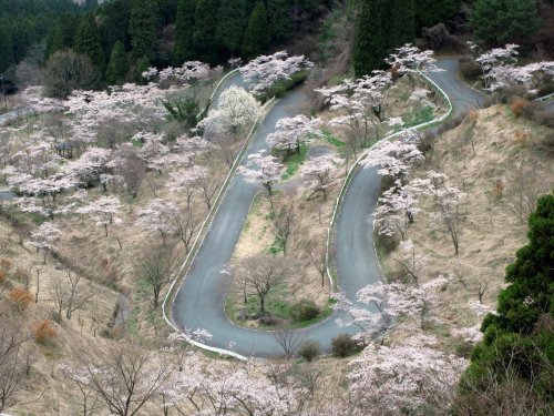 25 roads that everyone should drive in their lifetime