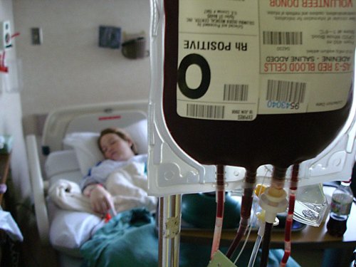 Why we have blood types and why they matter