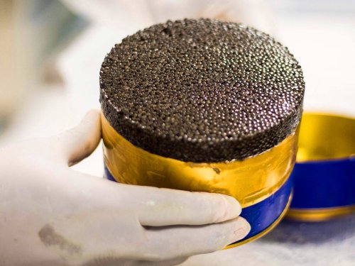 How Africa's first caviar won over Michelin-starred restaurants