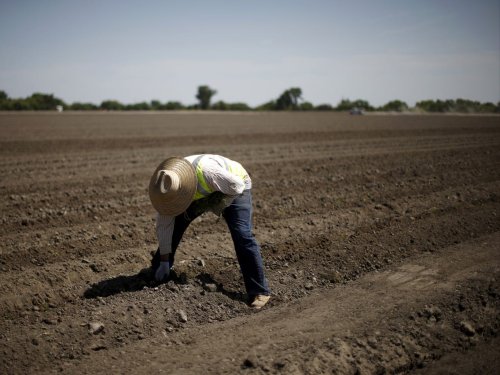 California's drought is 'a harbinger of the coming global water crisis'
