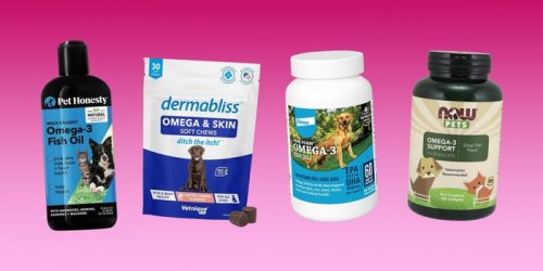 The 4 best fish oils for dogs of 2024