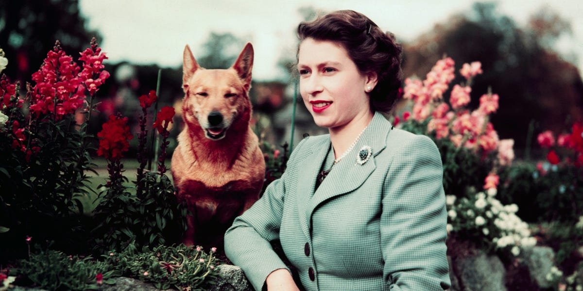 Remembering Queen Elizabeth II: The most important photo from every single year of her remarkable life