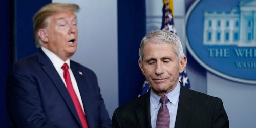 Fauci says he won't work with Trump if he's elected in 2024 and said the former president's COVID-19 response 'wasn't optimal'