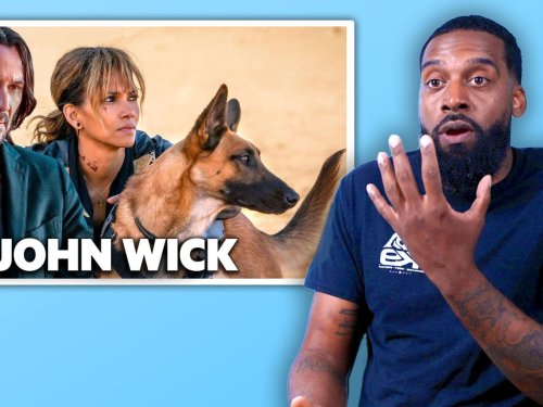 Military dog handler rates 8 military dog scenes in movies and TV
