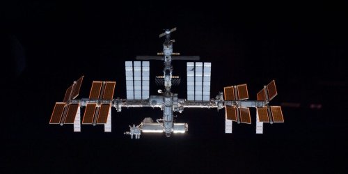 A species of bacteria survived on the outside of the International Space Station for a full year