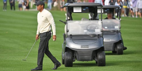 Tiger Woods ex-girlfriend alleged that a trust associated w