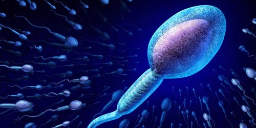 A group of Dutch children may sue their sperm donor father on grounds that they 'should not exist'