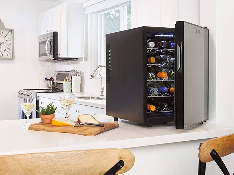 The best wine coolers and fridges in 2021