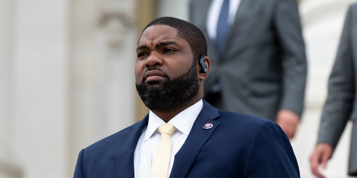 Florida Republican Byron Donalds said IVF helps people 'breed great families'