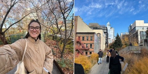 Strolling the High Line is one of my favorite things to do in New York City. Photos show what it's like to walk the whole trail.