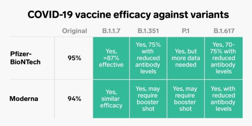 One chart shows how COVID-19 vaccines stack up against 4 worrisome variants, including the one found in India