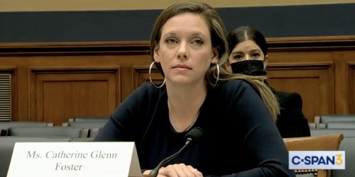 GOP anti-abortion witness baselessly claims DC authorities are burning aborted fetuses for electricity