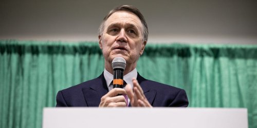 Republican Sen. David Perdue's stock portfolio shows he'd occasionally make at least 20 trades in one day, per a New York Times investigation