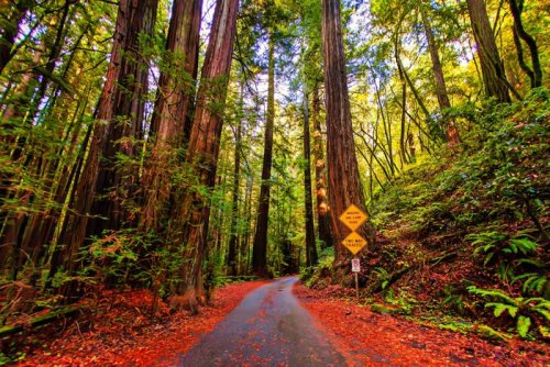 A millennial nurse who moved from Tennessee to California says his new state is much more working-class friendly: 'I genuinely didn't know what a break was when I moved to California'