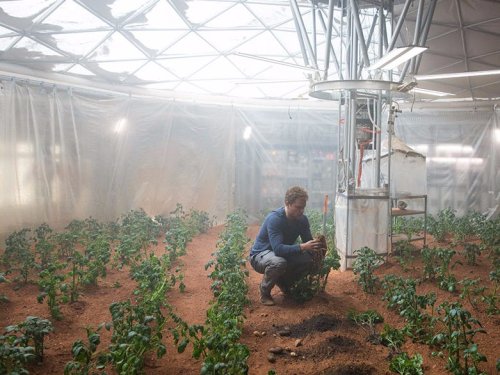 Scientists grew a bunch of vegetables in 'Martian' soil — and they're about to taste them
